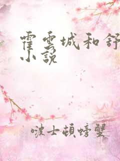 霍云城和舒情的小说