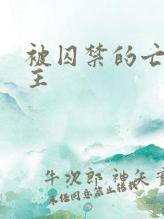 被囚禁的亡国公主