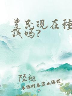 农民现在种地挣钱吗?