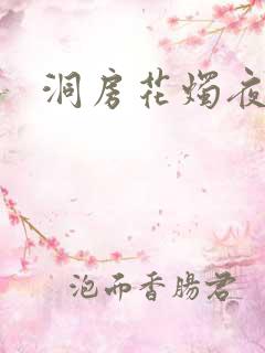 洞房花烛夜小说
