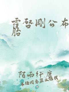 霍启刚公布龙凤胎