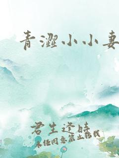 青涩小小妻