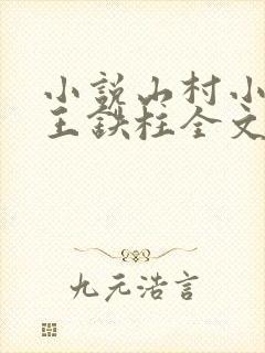 小说山村小神医王铁柱全文免费阅读