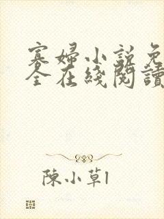 寡妇小说免费大全在线阅读