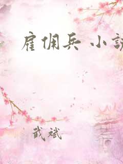 雇佣兵 小说
