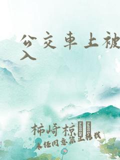 公交车上被后插入