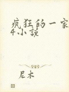 疯狂的一家ps4小说