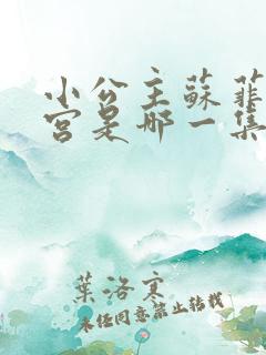 小公主苏菲亚入宫是哪一集