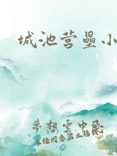 城池营垒小说