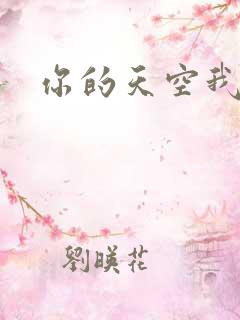 你的天空我的城