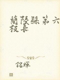 兰陵县第六小学校长