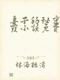 妻子的秘密韩晴霞小说免费阅读