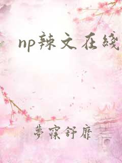np辣文在线
