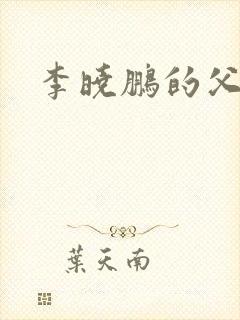 李晓鹏的父亲