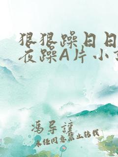 狠狠躁日日躁夜夜躁A片小说