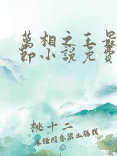 万相之王最新章节小说免费阅读