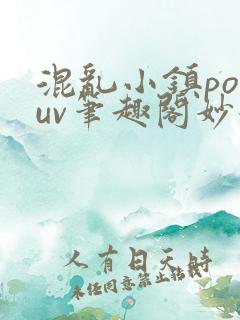 混乱小镇popuv笔趣阁妙妙