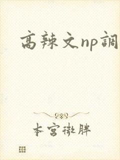 高辣文np调教