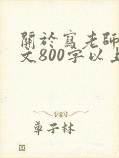 关于写老师的作文800字以上