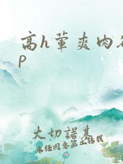 高h荤爽肉欲np