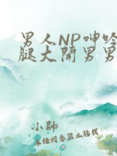 男人NP呻吟双腿大开男男小说