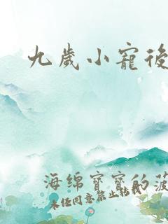 九岁小宠后