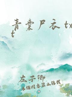 青囊尸衣 txt