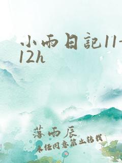 小雨日记11-12h