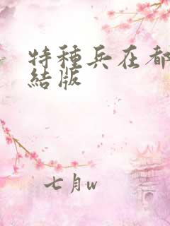 特种兵在都市完结版