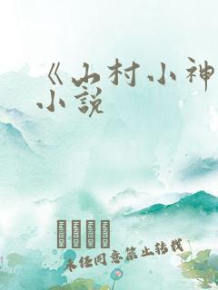 《山村小神医》小说