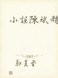 小说陈斌赵心媚