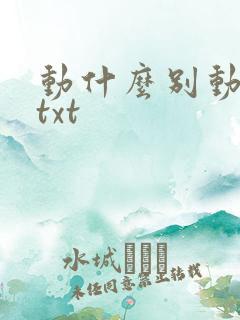动什么别动感情txt