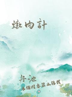 炖肉计