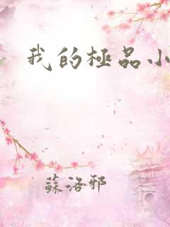 我的极品小姨