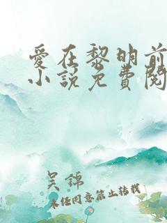 爱在黎明前降落小说免费阅读