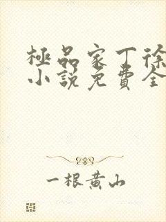 极品家丁徐芷晴小说免费全文在线