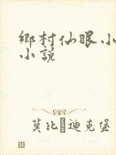 乡村仙眼小农医小说