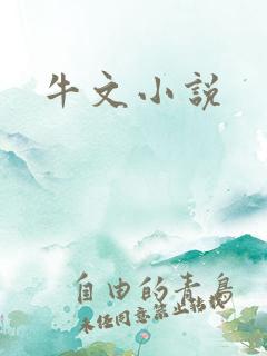 牛文小说