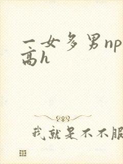一女多男np文高h