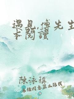 遇见,傅先生全本阅读