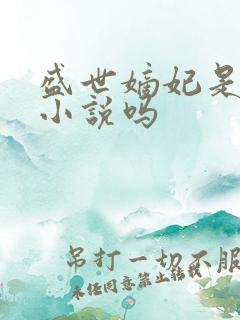 盛世嫡妃是穿越小说吗