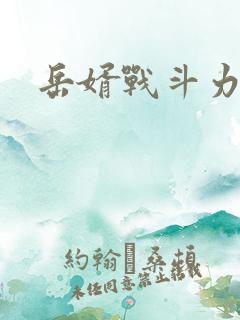岳婿战斗力
