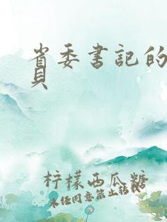 省委书记的小宝贝