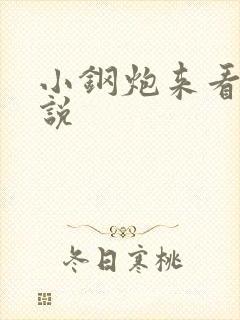 小钢炮来看我小说