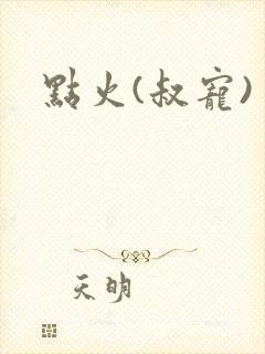 点火(叔宠)