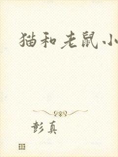 猫和老鼠小说