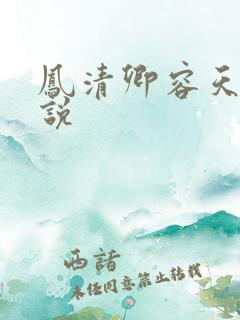 凤清卿容天凌小说