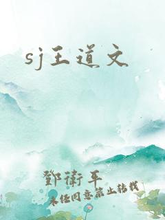 sj王道文