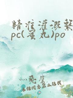 精准灌溉系统hpc(蜜丸)po