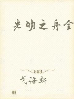 光明之舟金手指
